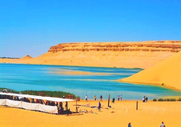 Excursion d'une journÃ©e au Fayoum Ã  Wadi Al Rayan et Wadi Hitan